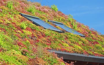 Corfton living roof systems